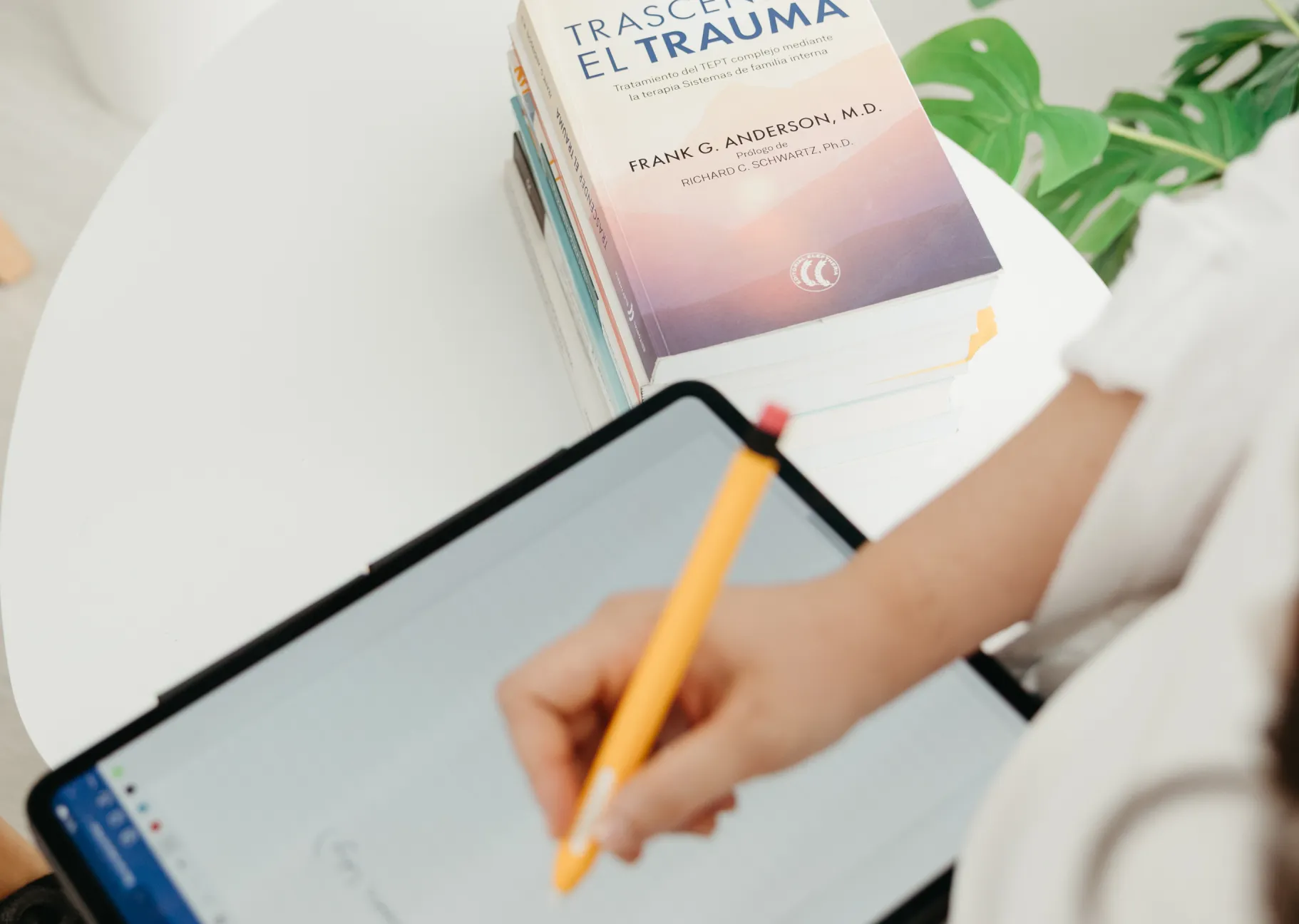 psicologo supervision de casos