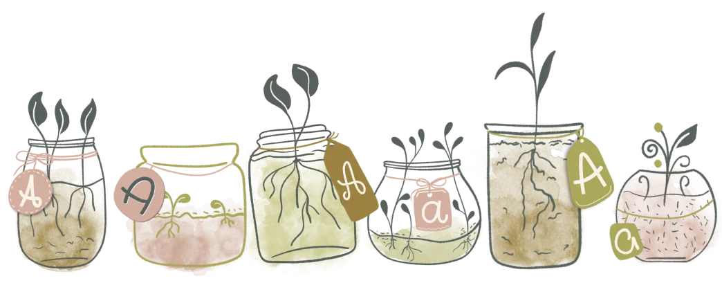 Ingredientes terapia online trauma