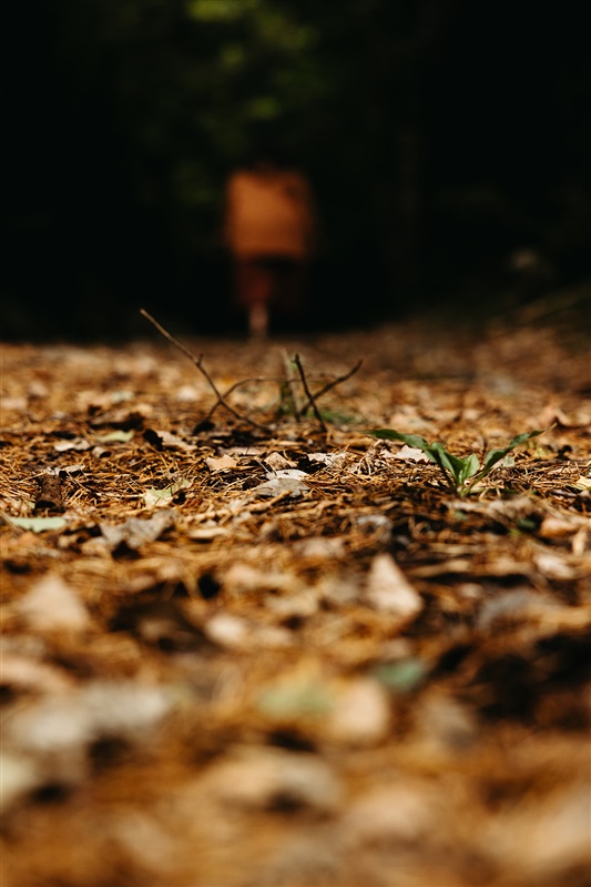 como hacer terapia emdr