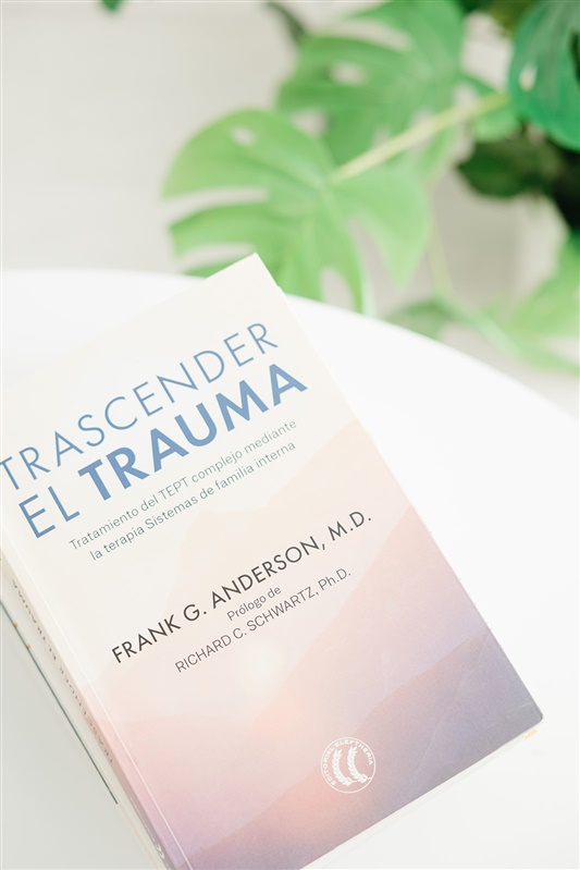 terapia informada en trauma libro