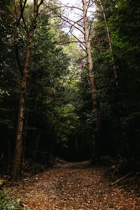 parte exiliada ifs culpa