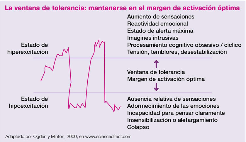 ventana de tolerancia teoria polivagal