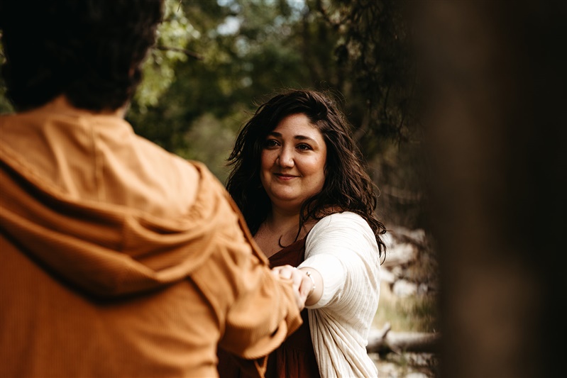 IFS sistemas de familia interna