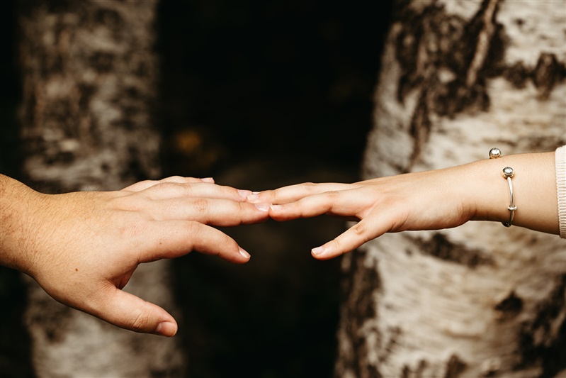 blending sistemas de familia interna