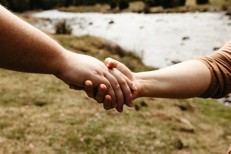 sistemas de familia interna