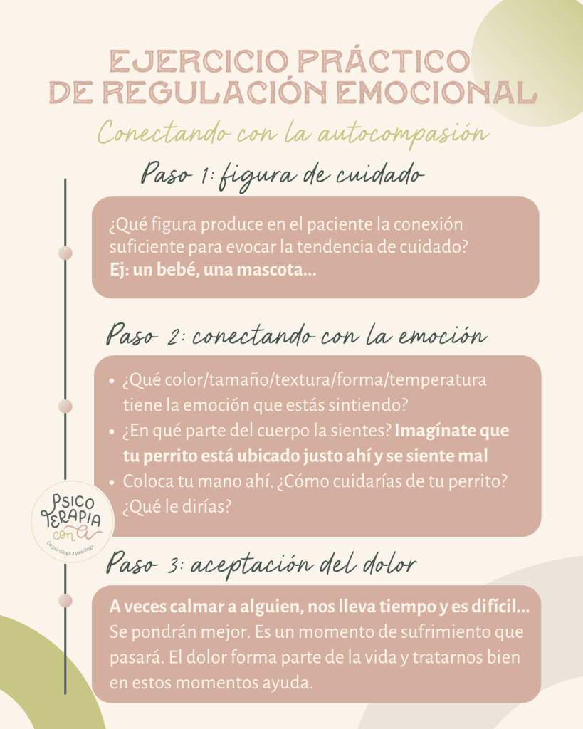 ejercicio practico regulacion emocional